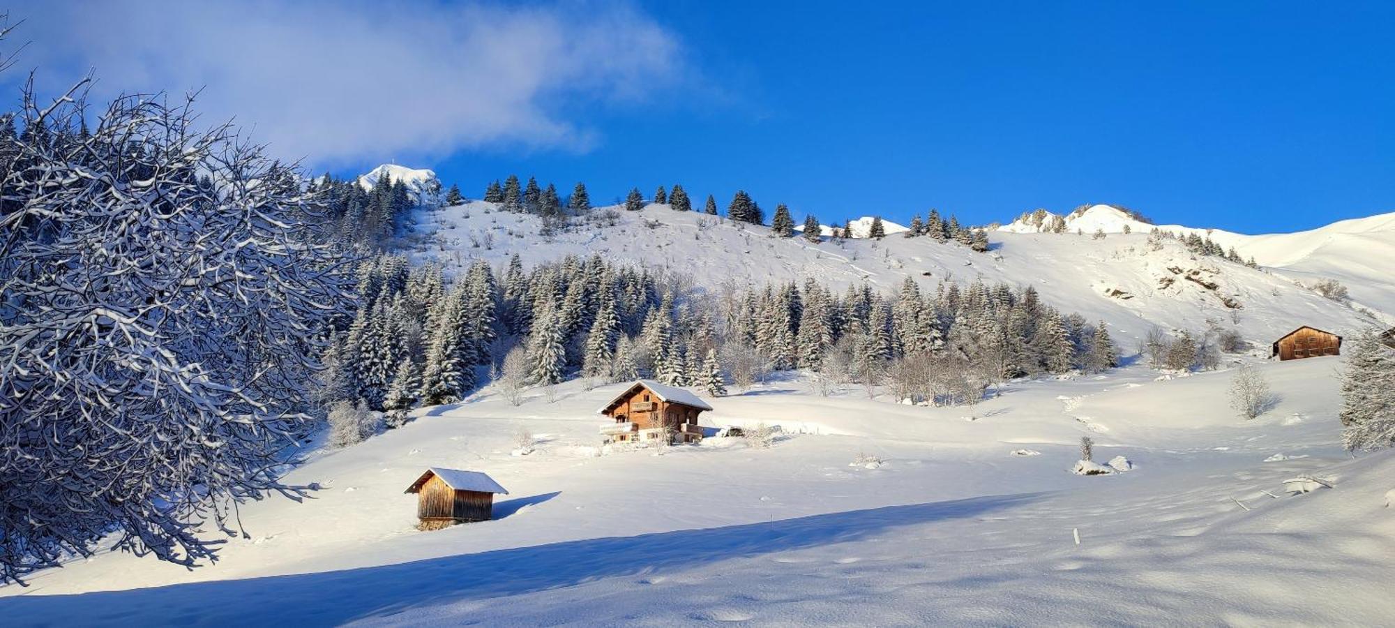Le Taconet Hotell Praz de Lys Exteriör bild