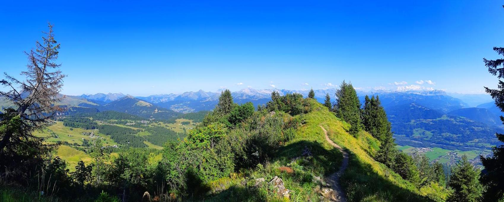 Le Taconet Hotell Praz de Lys Exteriör bild